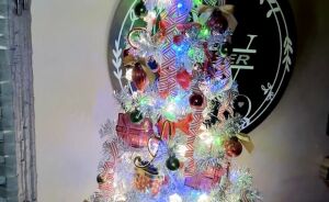 Hey Pandas, Share Your Christmas Decor