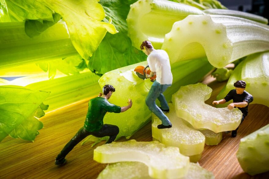 Celery Sawmill