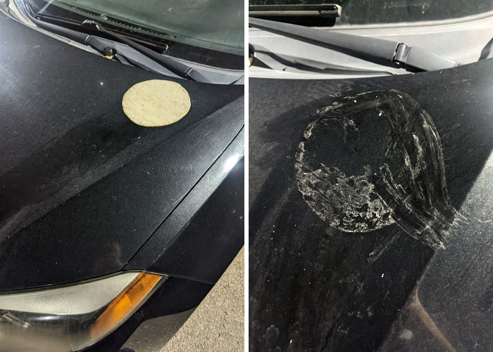 Somebody Put A Tortilla On My Car's Hood. It Baked On There Due To High Heat. Now I Will Have To Clean It Off After I Get Off Work