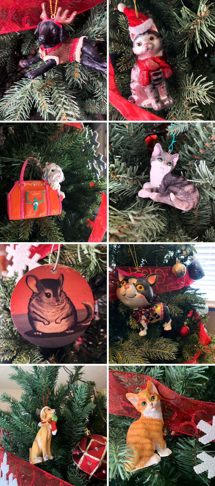 My Family Has Tree Ornaments For Pets We Have Had In The Past 10 Years. My Mom Says It's So They Can Still Join Us On The Holidays
