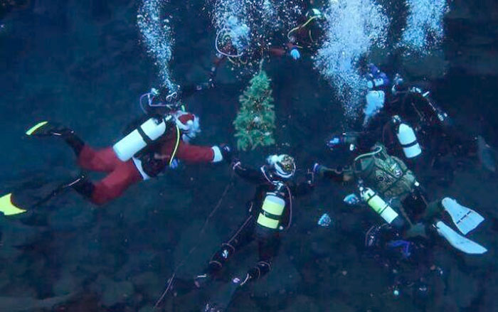 Divers In Iceland Having Their Annual Christmas Ball