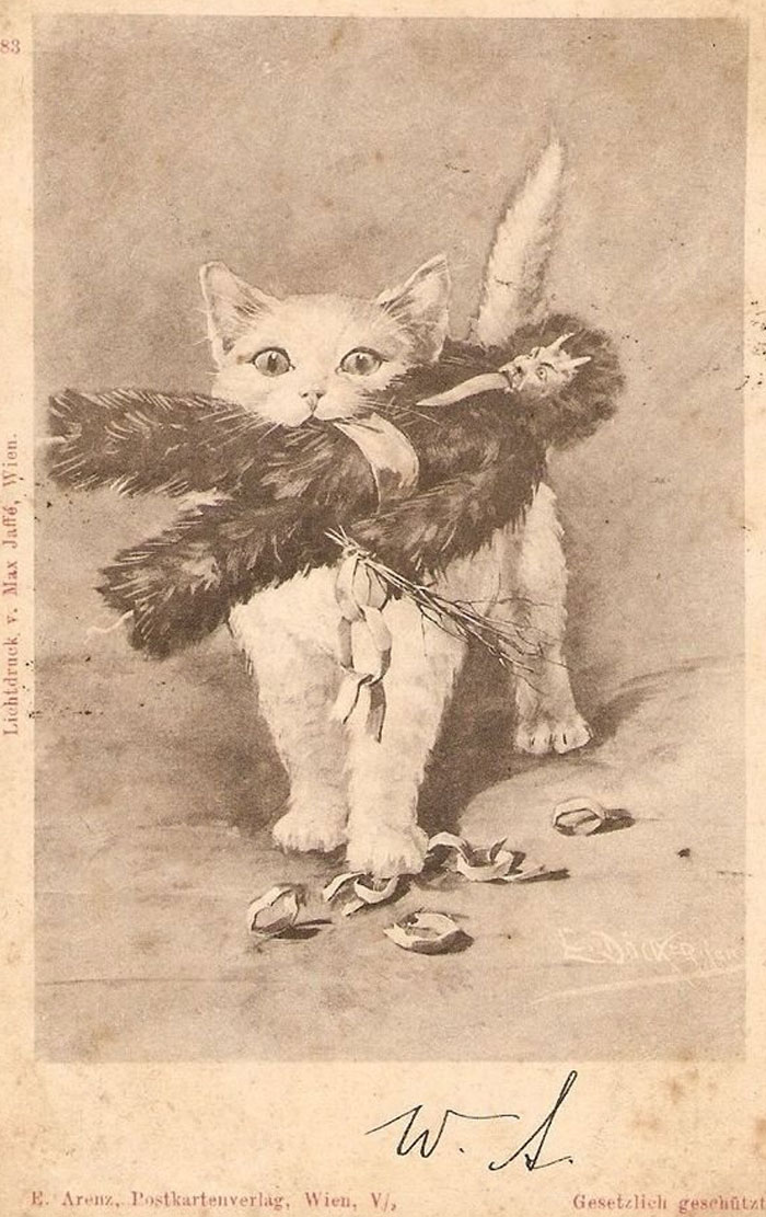This Week's Christmas #caturday Scorecard: Krampus: 0 Cat: 1