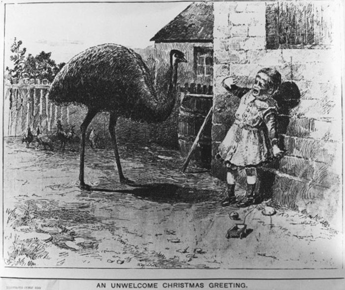 It Always Warms My Heart When Santa Claus Turns Loose His Attack Emus