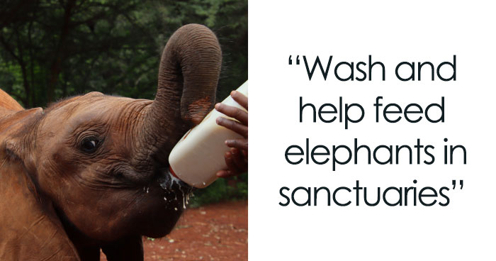 62 Unconventional Ways To Volunteer That You May Not Have Thought About