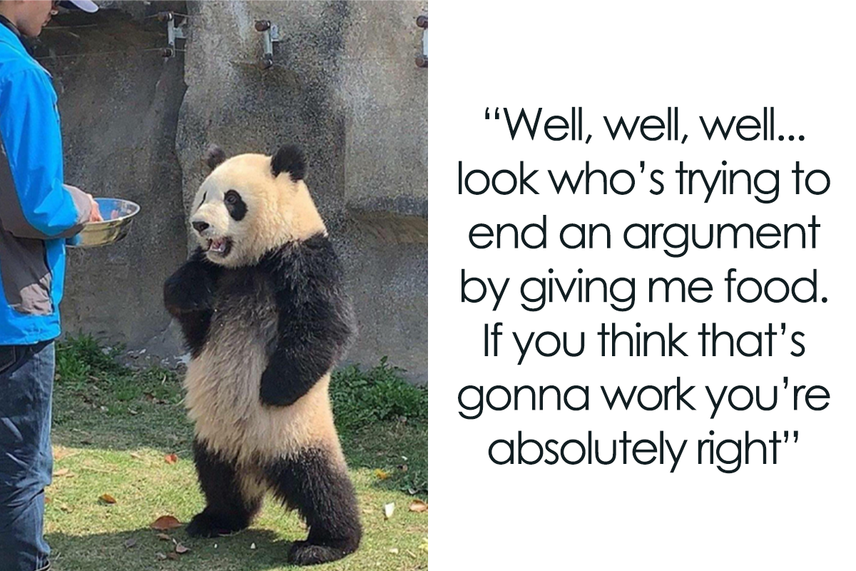 50 Wholesome Memes As Shared By This Page To Brighten Up Your Day New  Pics  Bored Panda