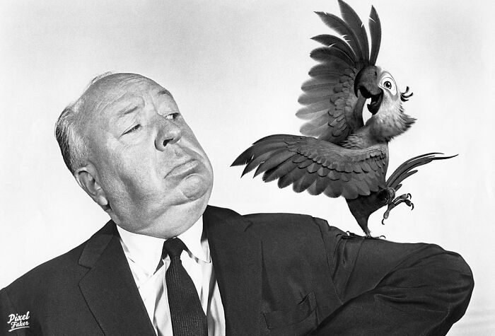 Alfred Hitchcock vs. Rio