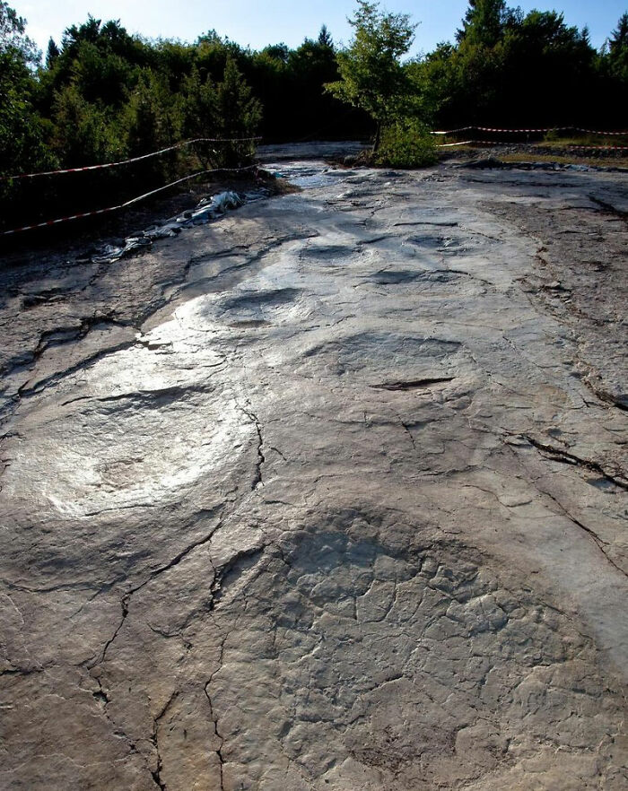 Huellas de dinosaurio de hace 150 millones de años