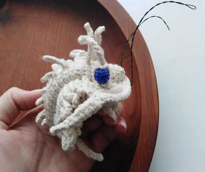 My Trilobite Fossil (4 Pics) My Trilobite Fossil (4 Pics)