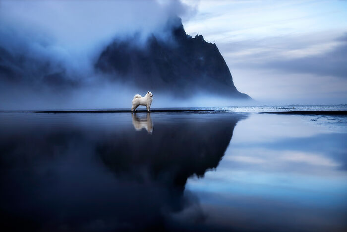 Magical Mood At Vestrahorn With Kjolle