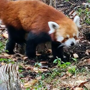 promotionscouponsandsuch avatar