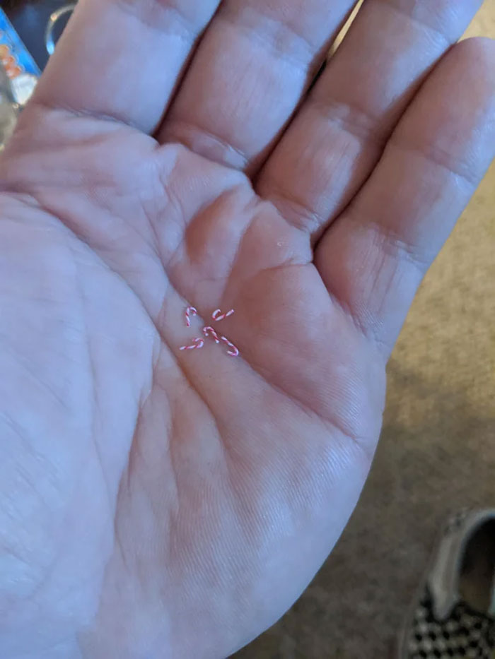 What Are These, Candy Canes For Ants?