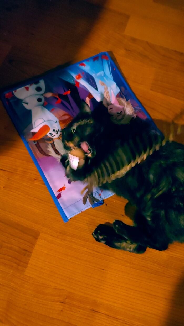 Cinder About To Devour Her Prey