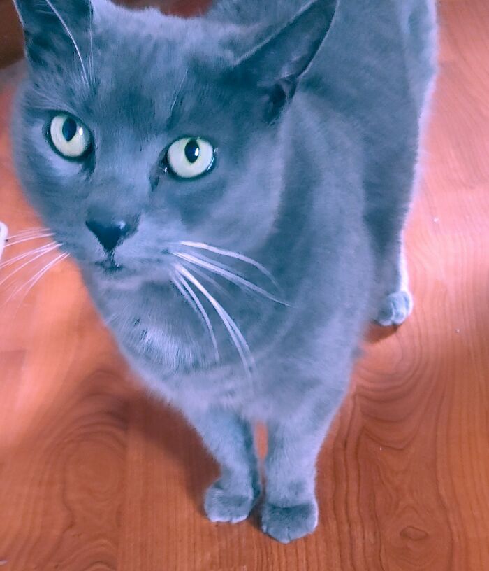 Newest Addition, This Sweet Girl Baba Yaga