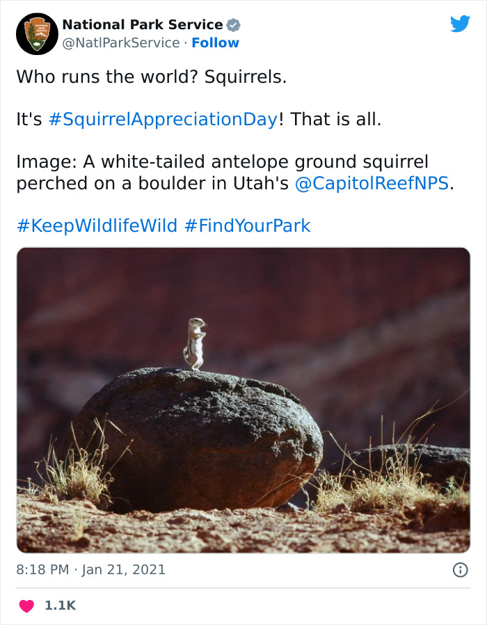 Funny-National-Park-Service-Twitter