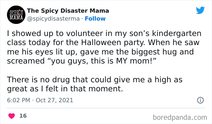Spicy-Disaster-Mama-Parenthood-Memes
