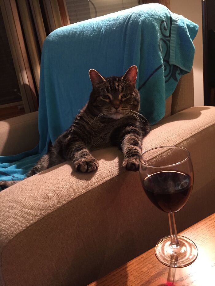 Marlo, Chilling With His Merlot