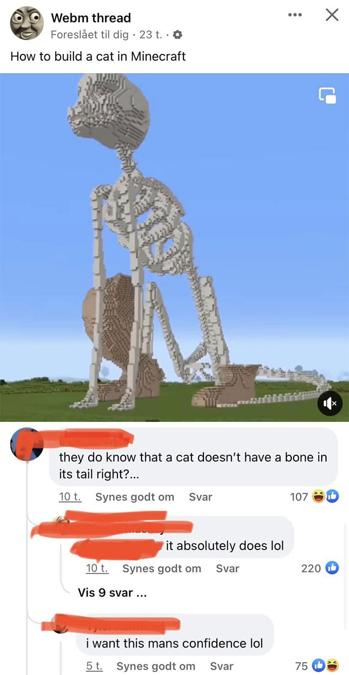Someone Never Had A Cat