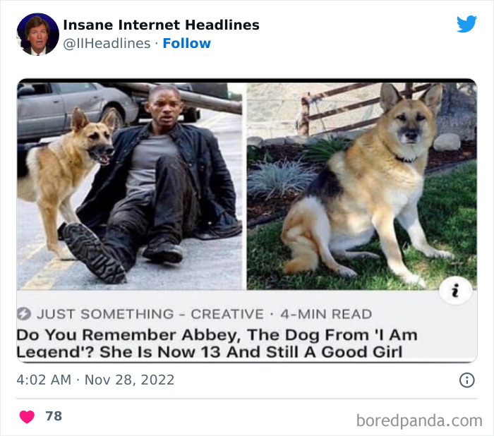 Funny-Insane-Internet-Headlines