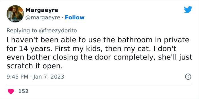 This Hilarious Twitter Thread Has Cats Asking If They're Being Unreasonable