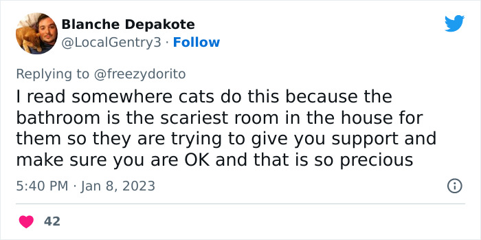 This Hilarious Twitter Thread Has Cats Asking If They're Being Unreasonable