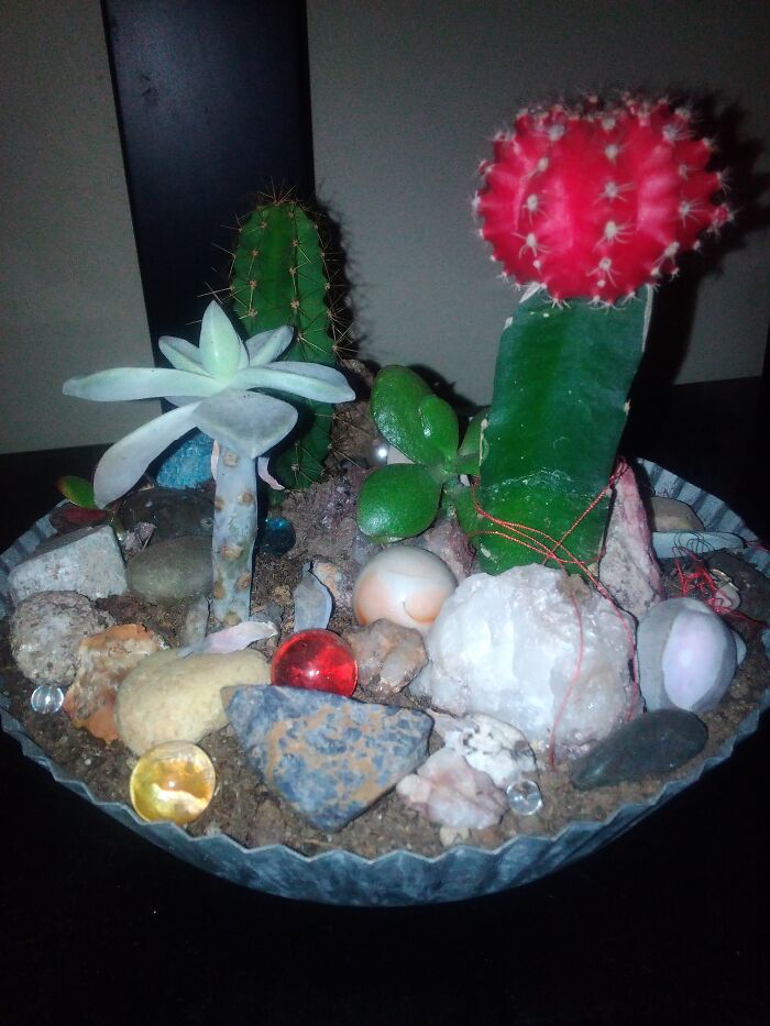 My Mini Rock And Marble Garden