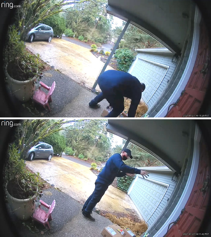 Porch Pirate Pirating Has To Lie