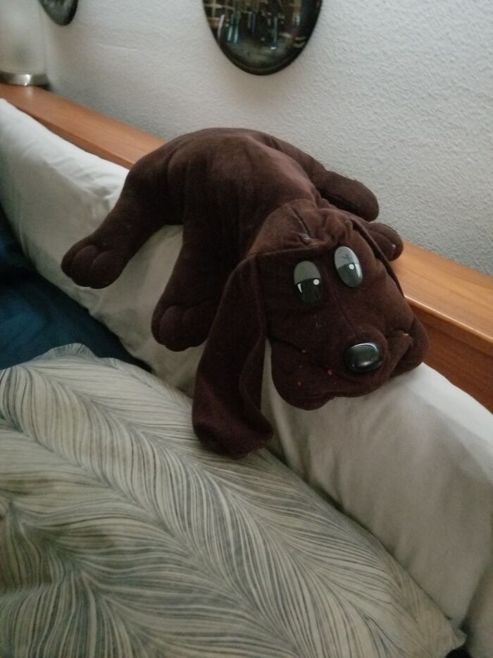 My Pound Puppy Bob. I've Had Him So Long I've Forgotten. All I Know Is I Can't Sleep Without Him. I Just Turned 60 Three Days Ago. I Have No Shame About It Either