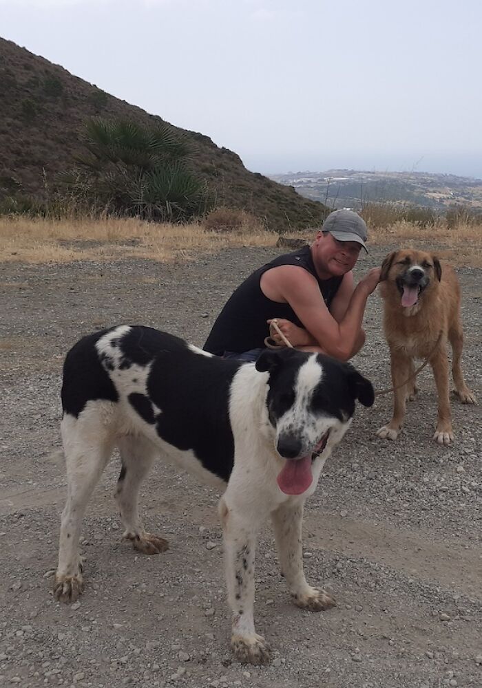 We Teach New Dogs, Using Old Tricks, At The Adana Dog Rescue Centre We Teach New Dogs, Using Old Tricks, At The Adana Dog Rescue Centre