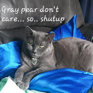 jessicalindskog avatar