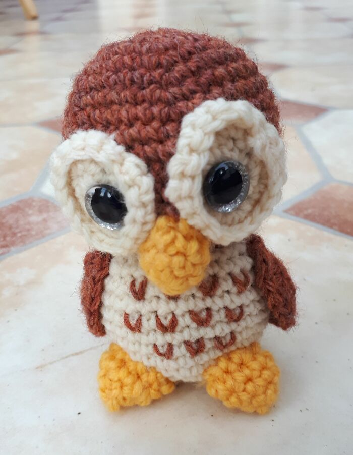 Wise Little Owl
