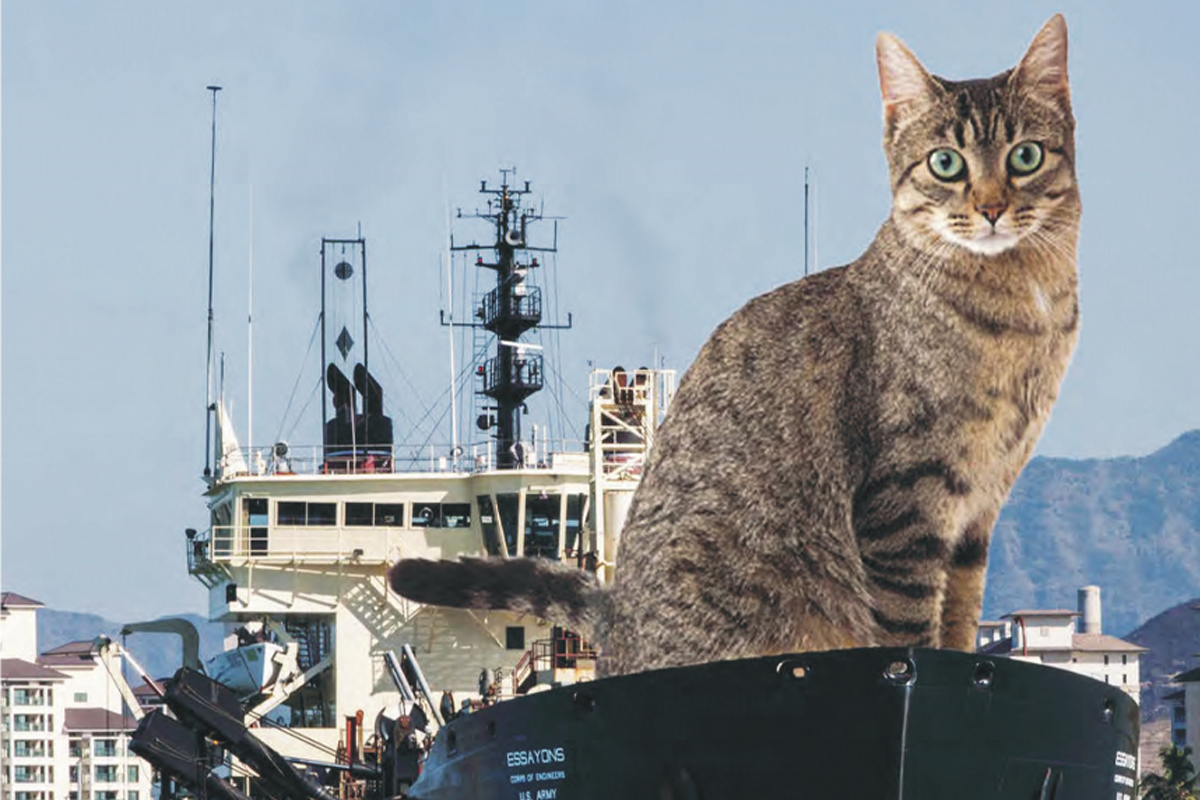 Army Corps Of Engineers Cat Calendar 2025