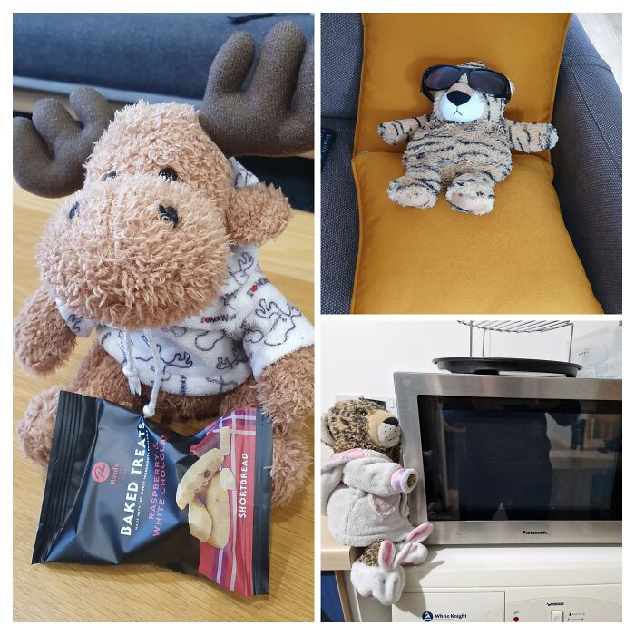 Ok, So This Is (Bottom Right) Leah. She's A Warmie So She Loves The Microwave, Sun And Anything Else Hot. Top Right Is Her Union Rep Caught On A Very Rare Moment Relaxing On Holiday. To The Left Is Maisie, My Travel Reindeer Who Enjoys TV And Dislikes Shows With Severed Moose Heads On The Wall