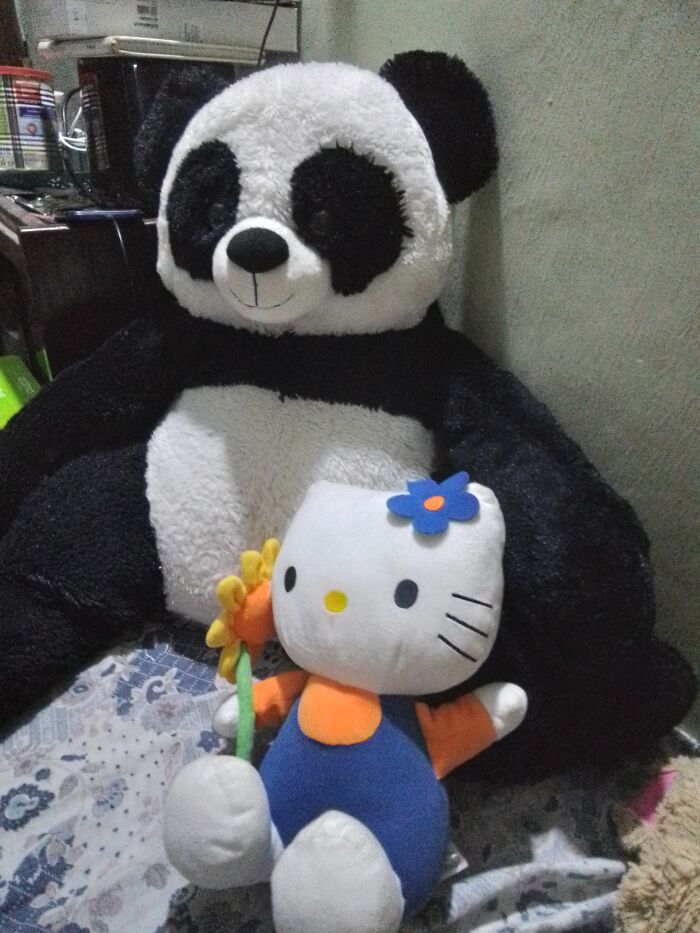 #56 Kitty And Panda Are Recent Additions To My Plushie Collection, I Got Them Second Hand From The Same Shop On My Street. I Have A Weakness For Plushies & Panda By Far Is The Cuddliest. But For Some Reason, My Youngest Niece (Age 1) Is Terrified Of Him!