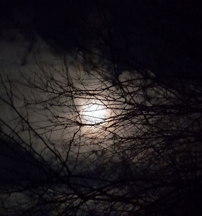 Eerie Moon