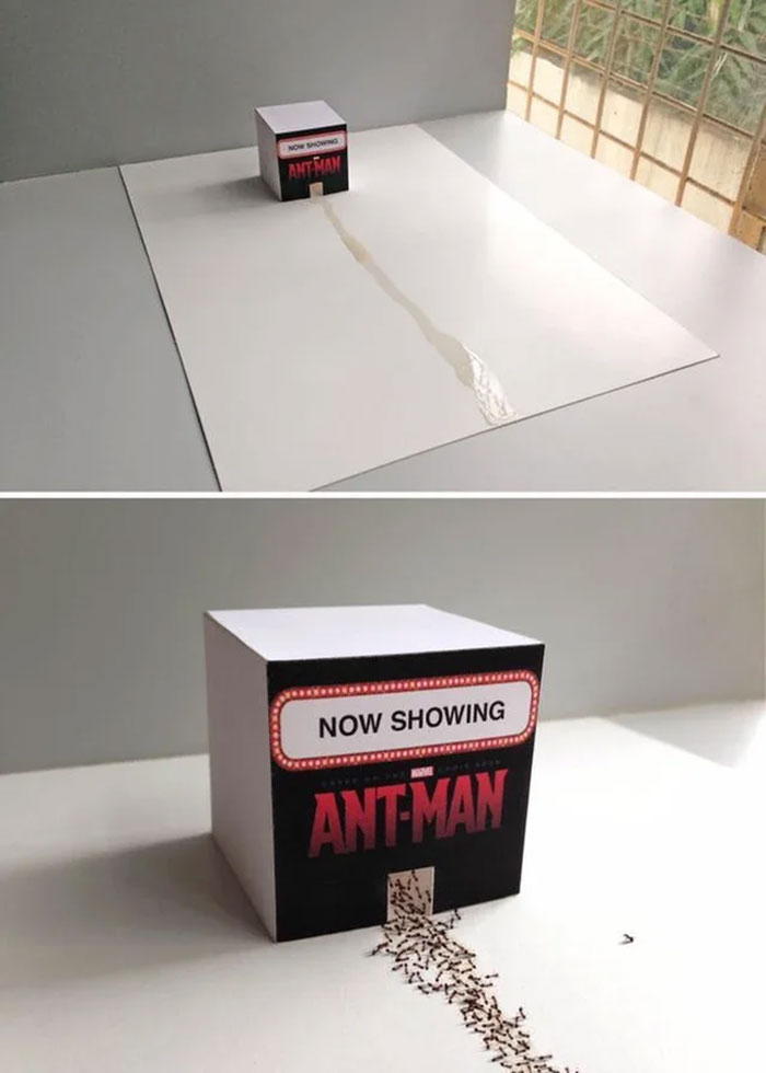 What Is This? A Theatre For Ants?