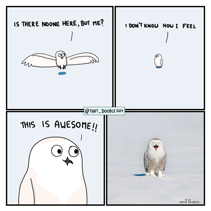 My 40 Wholesome Comics Showing The Backstory Of Popular Animal Pictures