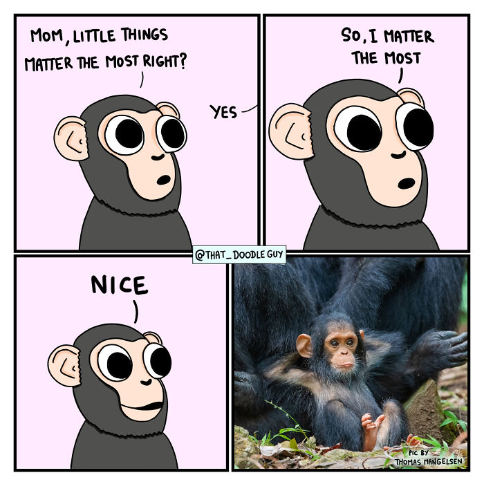 My 40 Wholesome Comics Showing The Backstory Of Popular Animal Pictures