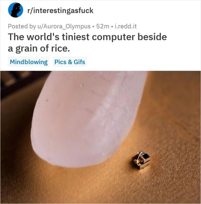 What Is This, A Computer For Ants?