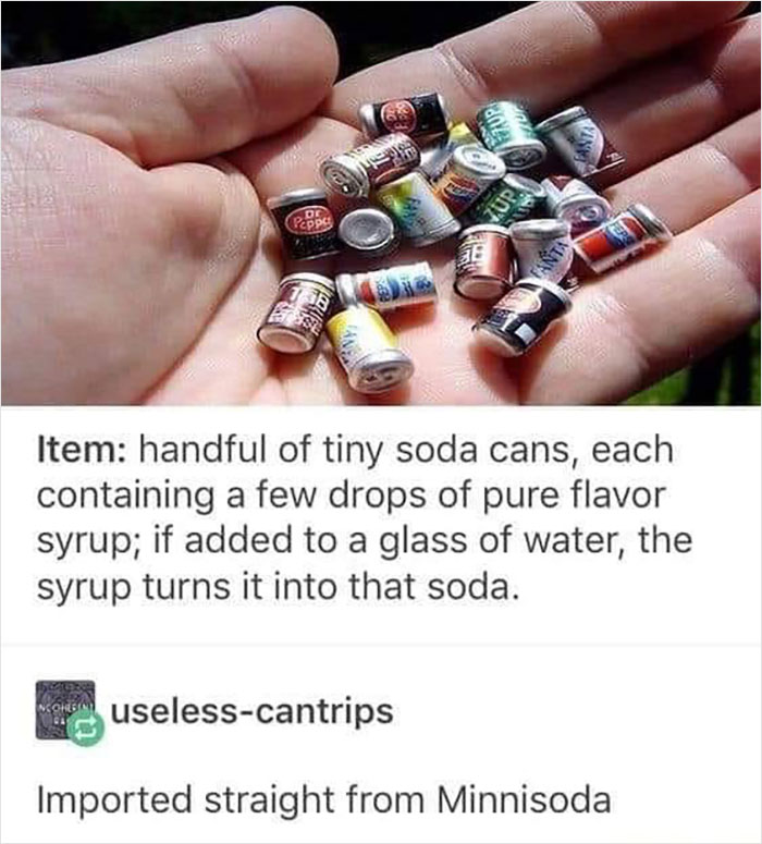 What Is This? A Soda Can For Ants?