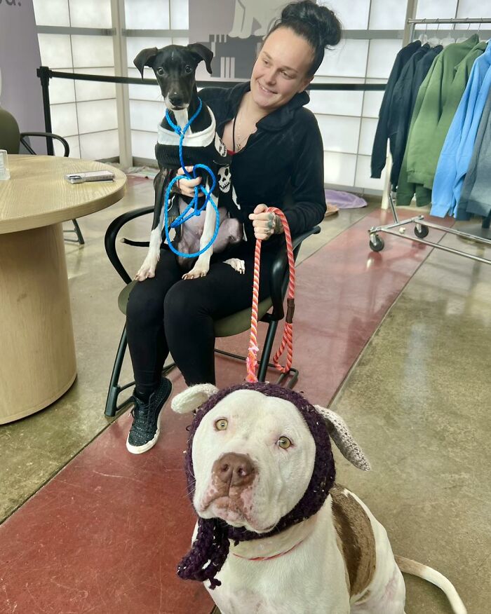 This Dog’s New Crocheted Ears Gained Him Attention Online That Sped Up His Adoption This Dog’s New Crocheted Ears Gained Him Attention Online That Sped Up His Adoption