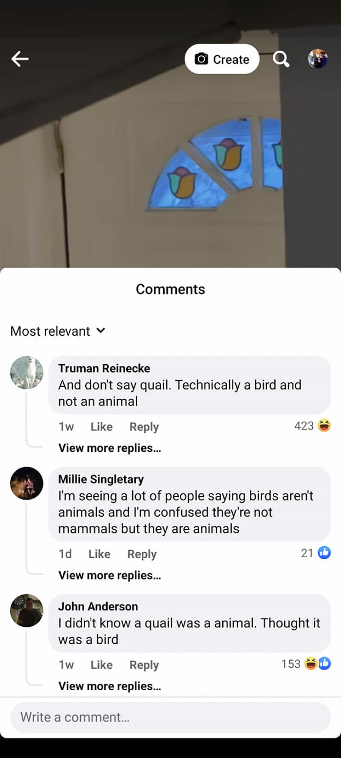 The Caption Was Asking For A Name Of An Animal With A "Q" In It