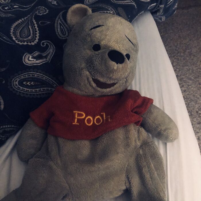Pooh Bear. The Blue Bear Accidentally Got Washed With The Blue Comforter