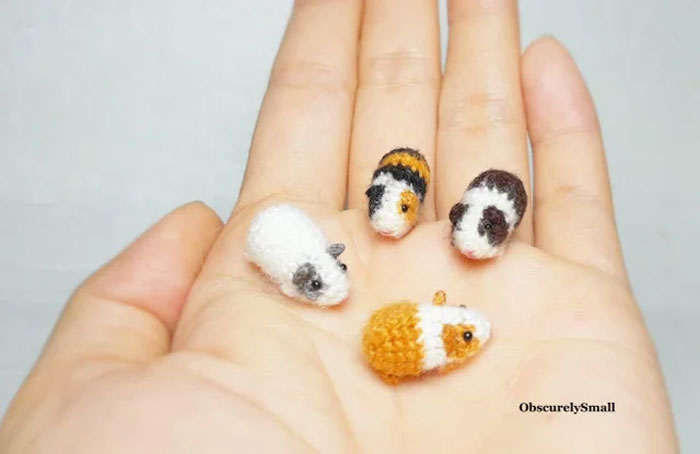 What Is This? Hamsters For Ants?
