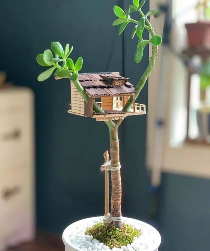 What The Heck Is This??? A Mini Treehouse For Ants?!