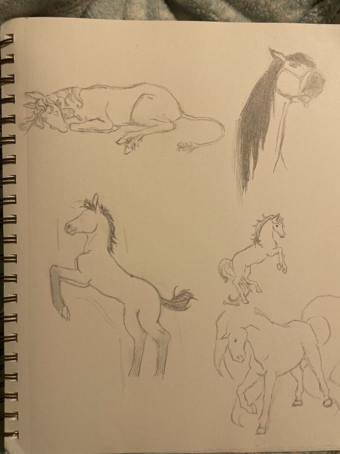 They Aren’t Exactly Doodles But This Is What I’ve Got For You. Horses From My Childhood. (Some More Beloved Than Others) You’re Very Welcome To Guess Which Horse Is From What