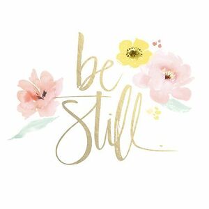 ashlynkearney avatar