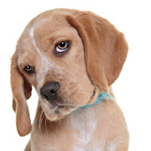 nameismissing avatar