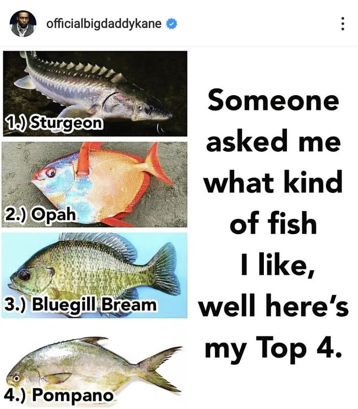 Top 4 Fish
