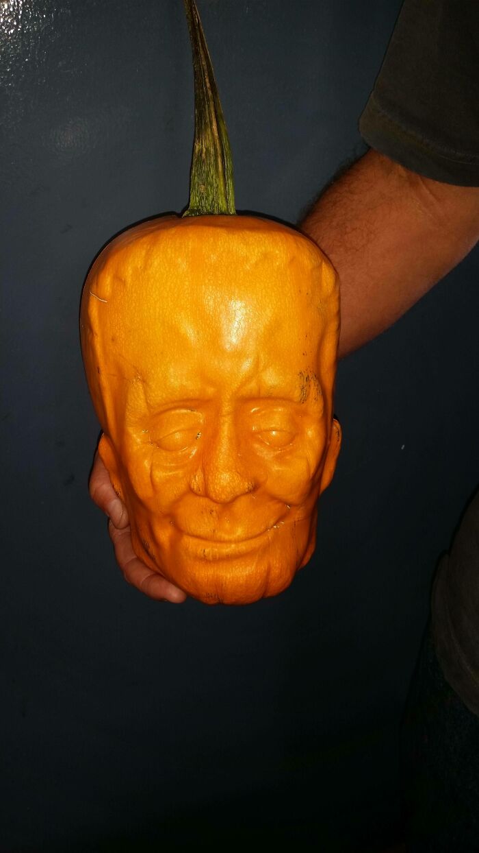 Qué ocurre cuando crece una calabaza dentro de un molde de plástico