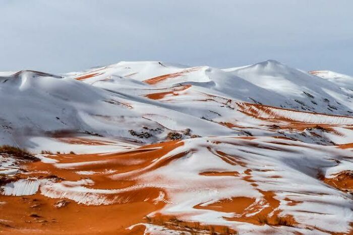 What It Looks Like When It Snows In The Sahara Desert